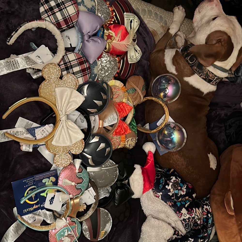 Disney parks assorted Minnie Mouse ears